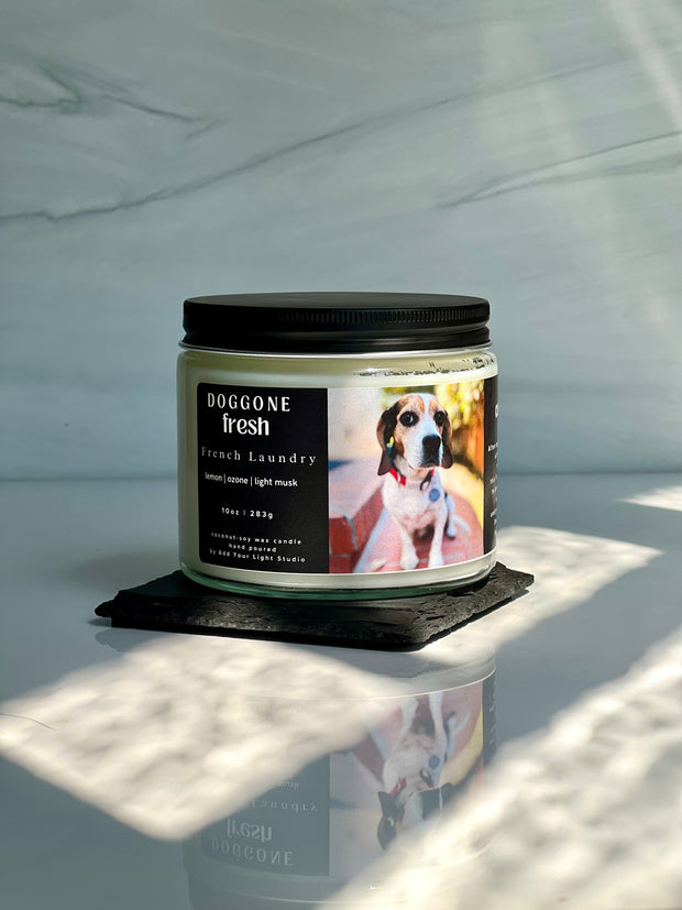 Doggone Fresh Odor Eating Candle - French Laundry