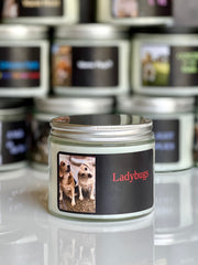 The Ladybugs Candle