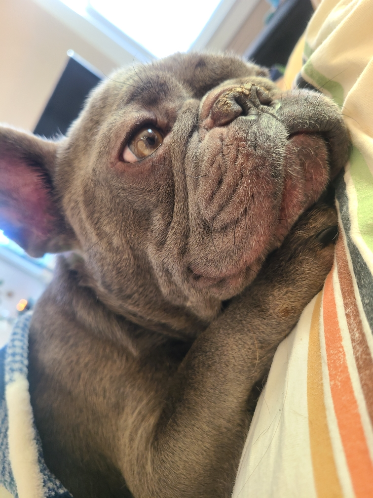 French Kiss Candle – Add Your Light Studio - Main Image