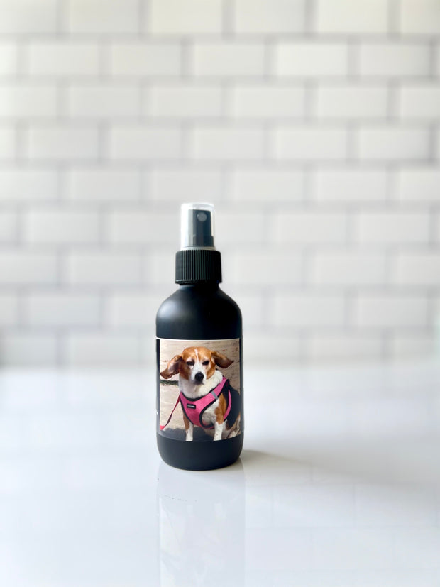 Coastal Air - Doggone Fresh Odor-Eliminator