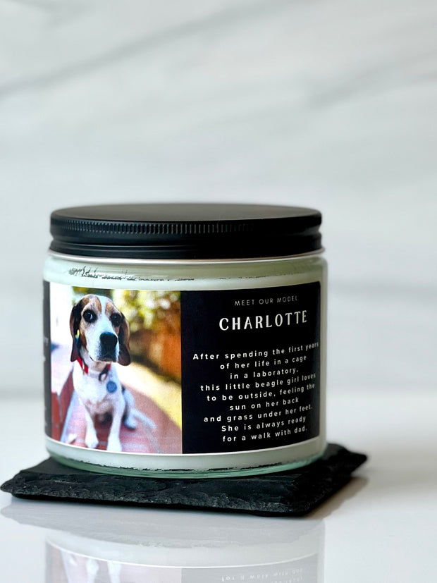 Doggone Fresh Odor Eating Candle - French Laundry