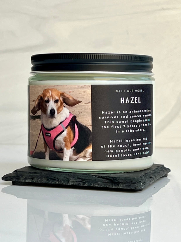 Candle of the Month Club Subscription