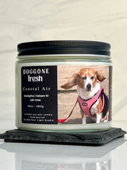 Coastal Air - Doggone Fresh Odor-Eliminator