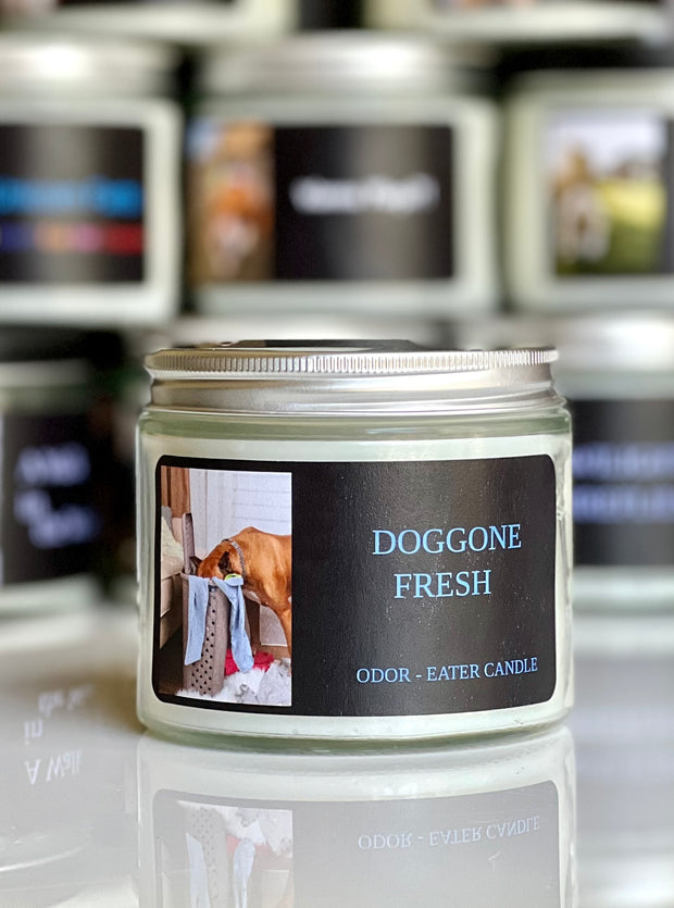 Doggone Fresh Odor-Eater Candle, Salt and Sea