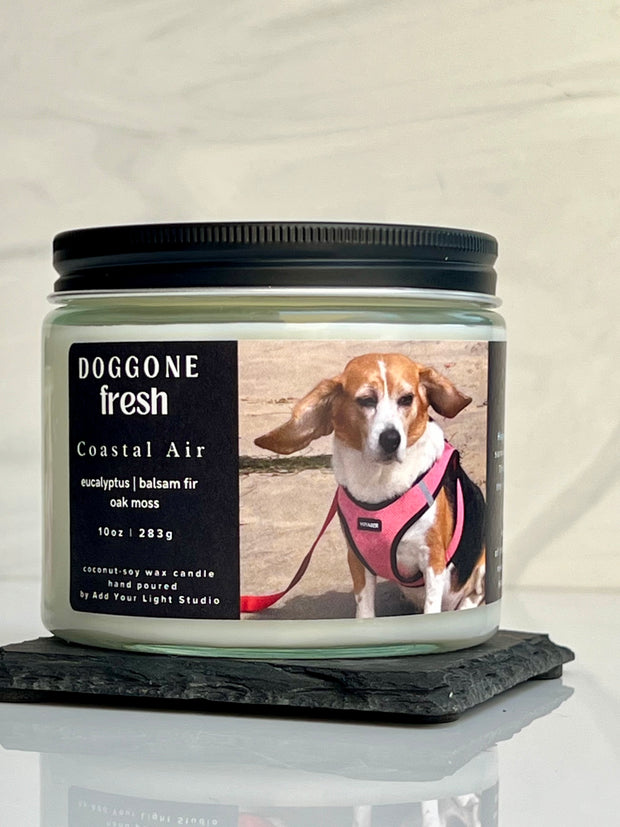 Candle of the Month Club Subscription