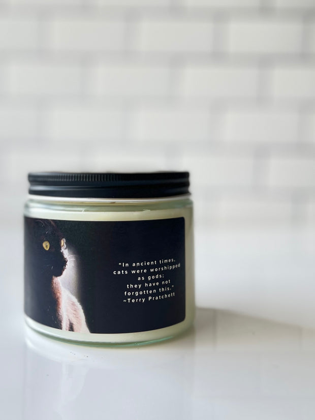 Moonlight Doggone Fresh Odor Eliminator